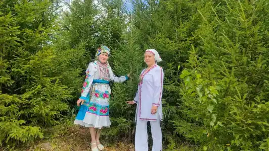 Марийская швейцария - 20