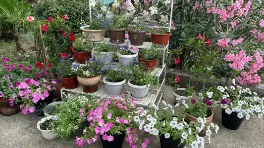 Прованс-Лоо - 6