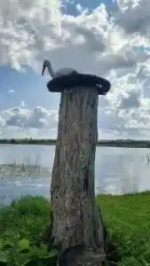 Дружба - 13