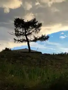 Лазурная - 22