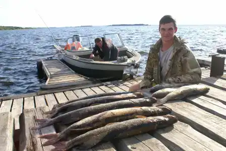 Big Fish - 13