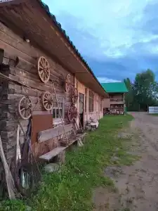 Живица - 0