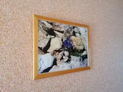 Свирский Пляж - 53