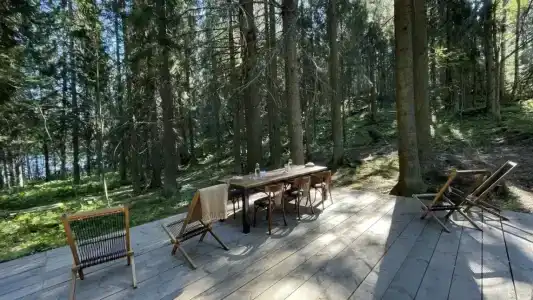 Villy Uley Karelia (Вили Улей Карелия) - 13