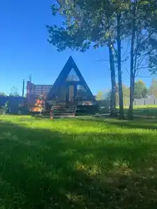 Ильинка лес - 0