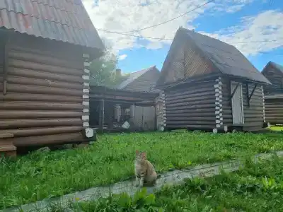 Мостовой - 45