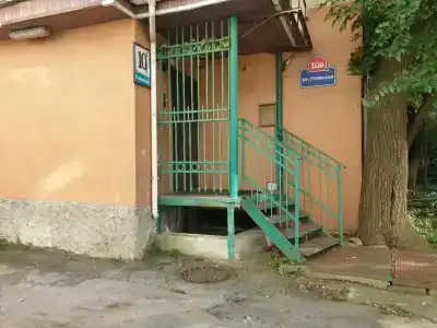 Каштан - 16