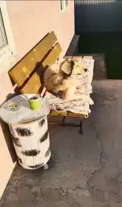 Гостевой дом на Луговой - 2