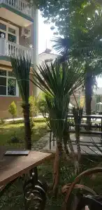 Мини отель Асхо - 96