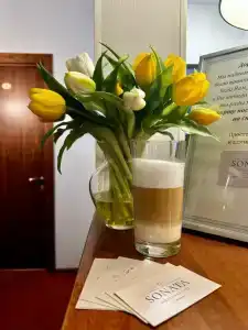 Соната Дворцовая площадь - 6