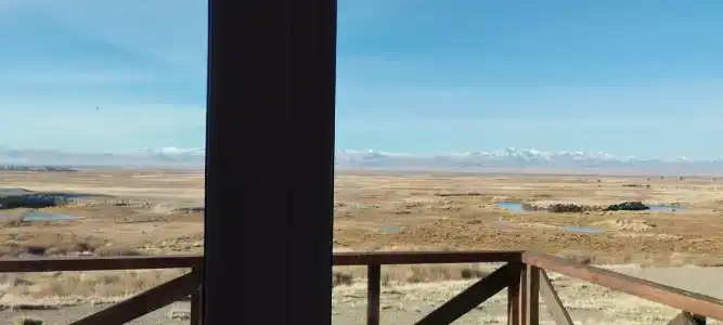 Altay Steppe - 17