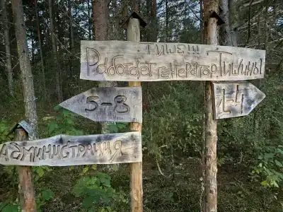 Тишина - 22