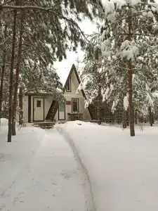 Пчелинцево - 3