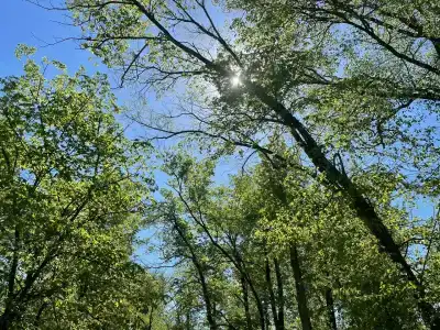 Хуторок-1 - 9