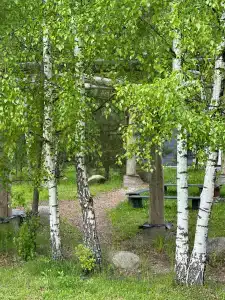 Изначальное - 5