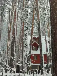 Успех - 11