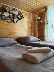 Мир Байкала - 65