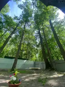 Монте-Карло - 26