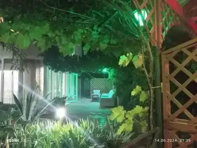 Московский - 31