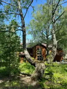 Три пескаря - 18