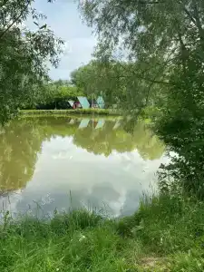 Голден Фиш - 48