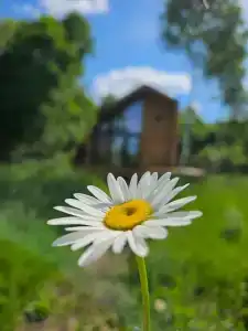 Глэмпинг Zefirka Camp - 89