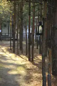 Пчелинцево - 71