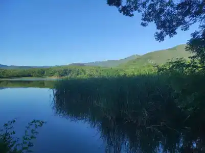 Скелепарк - 63
