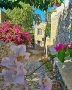 Bademli Konak Otel - 34