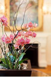 The Chanler at Cliff Walk - 48