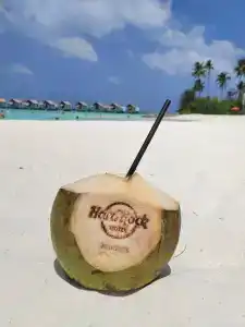 Hard Rock Maldives - 40