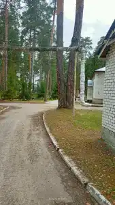 Золотой колос - 7