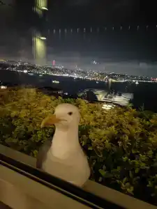 CVK Park Bosphorus Istanbul - 17