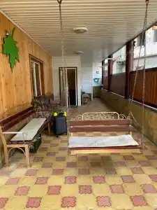 Старый Клен - 36
