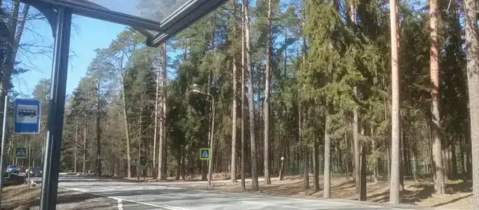 Звездочка - 20