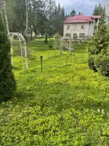 Губкинец - 11