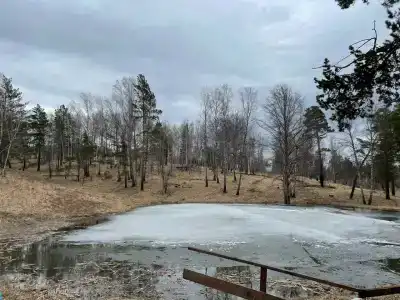 Ясная Поляна - 20