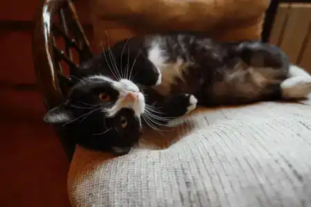 Алексеевская Усадьба - 37