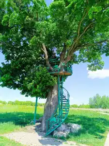 Золотой Город - 71