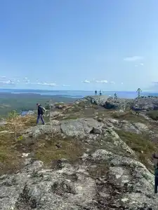 Коккосалма - 16