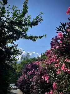 Семейный - 2