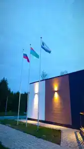 Родина Аэро - 36