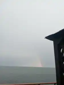 Жемчужный - 61