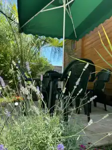 Oasis Eco-House - 44