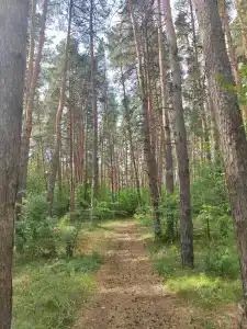 Сосенки Lounge - 4