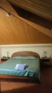 Каргополь - 59