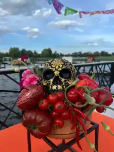 Volga Spa Village - 45