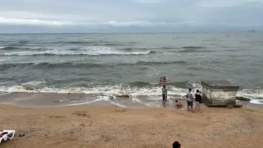 Жемчужина - 16