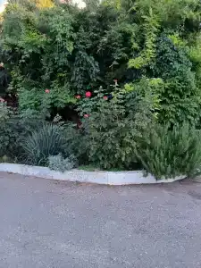 Коттедж Согдиана - 90