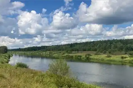 Александровские дачи - 21